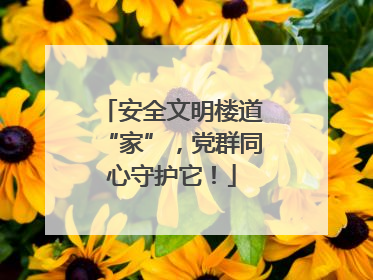 安全文明楼道“家”，党群同心守护它！