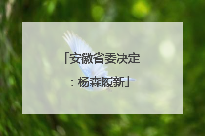 安徽省委决定：杨森履新