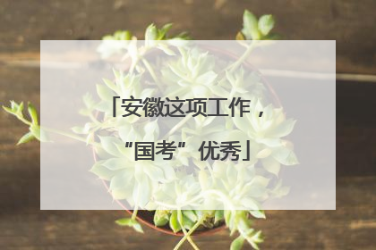 安徽这项工作，“国考”优秀