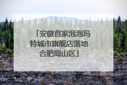 安徽首家泡泡玛特城市旗舰店落地合肥蜀山区