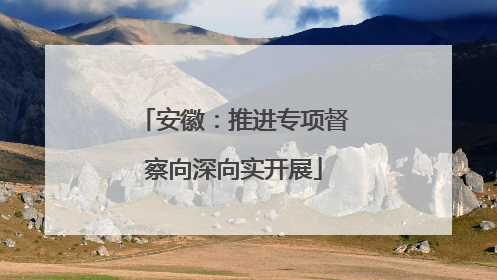 安徽：推进专项督察向深向实开展
