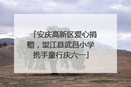 安庆高新区爱心捐赠，望江县武昌小学携手童行庆六一