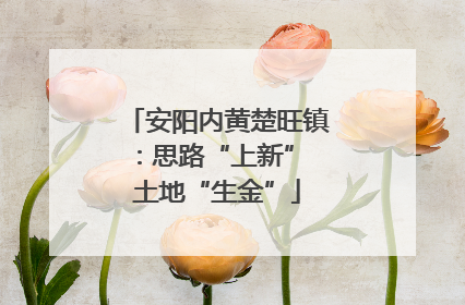 安阳内黄楚旺镇：思路“上新” 土地“生金”