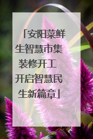 安阳菜鲜生智慧市集装修开工 开启智慧民生新篇章