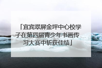 宜宾翠屏金坪中心校学子在第四届青少年书画传习大赛中斩获佳绩
