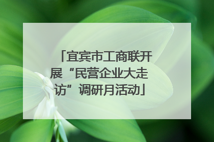 宜宾市工商联开展“民营企业大走访”调研月活动
