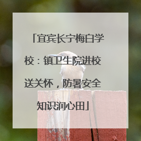 宜宾长宁梅白学校：镇卫生院进校送关怀，防暑安全知识润心田