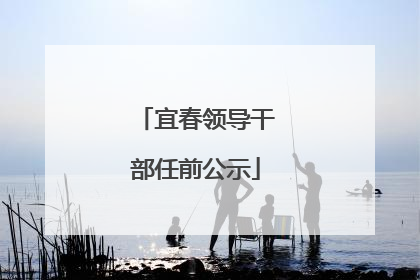 宜春领导干部任前公示