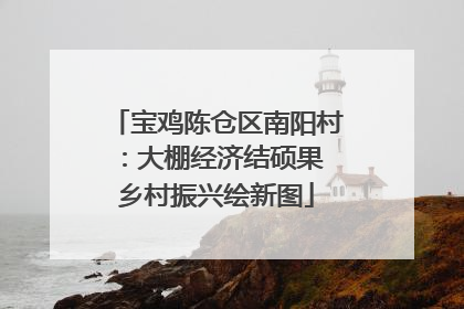 宝鸡陈仓区南阳村：大棚经济结硕果 乡村振兴绘新图