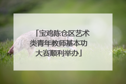 宝鸡陈仓区艺术类青年教师基本功大赛顺利举办