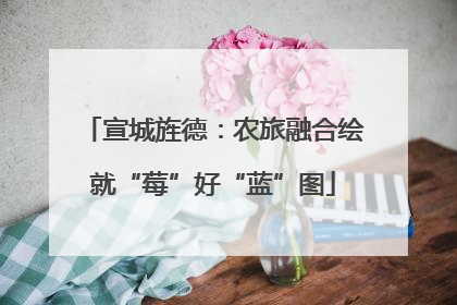 宣城旌德：农旅融合绘就“莓”好“蓝”图