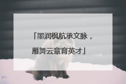墨润枫航承文脉，雁舞云章育英才