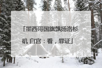 墨西哥国旗飘扬洛杉矶 白宫：看，罪证