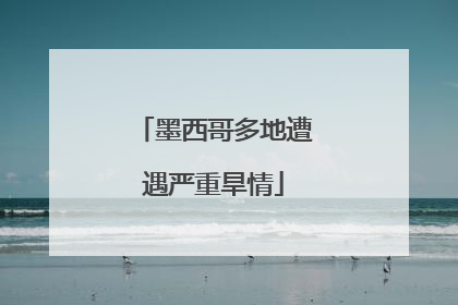墨西哥多地遭遇严重旱情