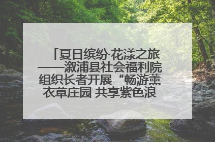 夏日缤纷·花漾之旅——溆浦县社会福利院组织长者开展“畅游薰衣草庄园 共享紫色浪漫”户外活动