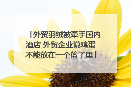 外贸羽绒被牵手国内酒店 外贸企业说鸡蛋不能放在一个篮子里