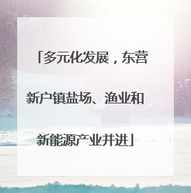 多元化发展，东营新户镇盐场、渔业和新能源产业并进