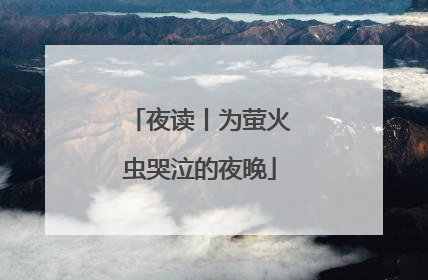 夜读丨为萤火虫哭泣的夜晚