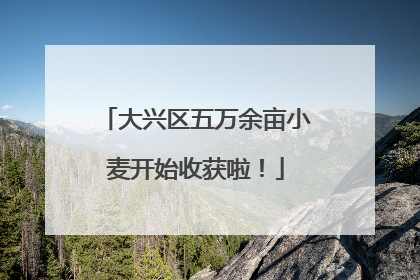 大兴区五万余亩小麦开始收获啦！