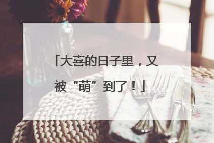 大喜的日子里，又被“萌”到了！