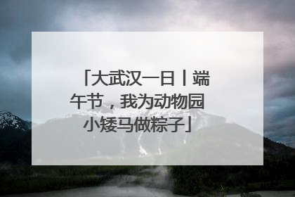 大武汉一日丨端午节，我为动物园小矮马做粽子