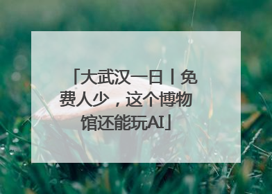 大武汉一日丨免费人少，这个博物馆还能玩AI