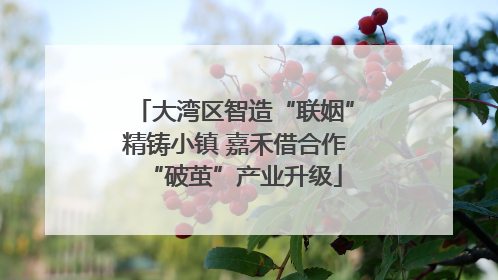 大湾区智造“联姻”精铸小镇 嘉禾借合作“破茧”产业升级