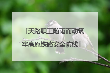 天路职工随雨而动筑牢高原铁路安全防线