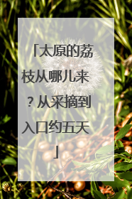 太原的荔枝从哪儿来？从采摘到入口约五天