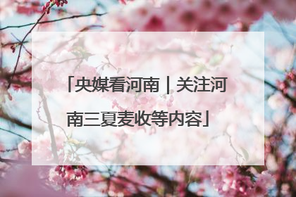 央媒看河南｜关注河南三夏麦收等内容