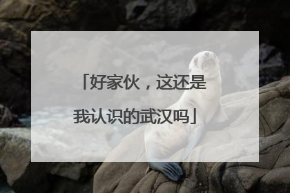 好家伙，这还是我认识的武汉吗