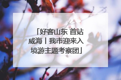 好客山东 首站威海丨我市迎来入境游主题考察团