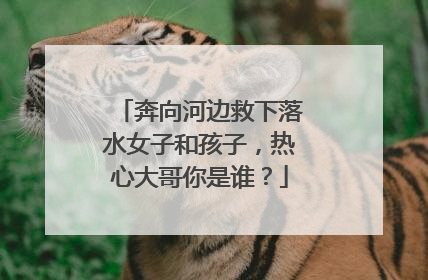 奔向河边救下落水女子和孩子，热心大哥你是谁？