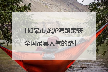如皋市龙游湾路荣获全国最具人气的路