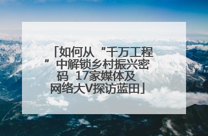 如何从“千万工程”中解锁乡村振兴密码  17家媒体及网络大V探访蓝田