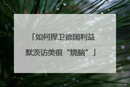 如何捍卫德国利益 默茨访美很“烧脑”