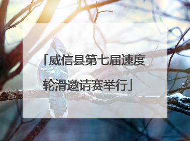 威信县第七届速度轮滑邀请赛举行