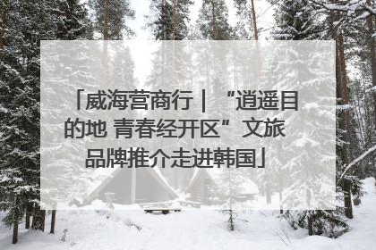 威海营商行｜“逍遥目的地 青春经开区”文旅品牌推介走进韩国