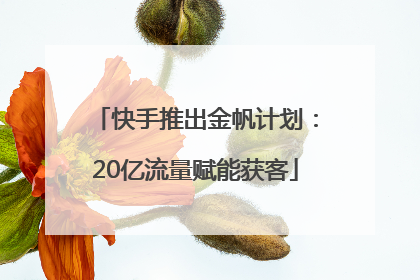 快手推出金帆计划：20亿流量赋能获客