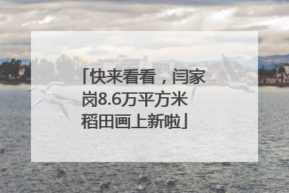 快来看看，闫家岗8.6万平方米稻田画上新啦