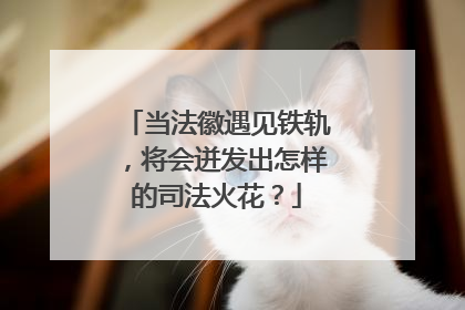 当法徽遇见铁轨，将会迸发出怎样的司法火花？