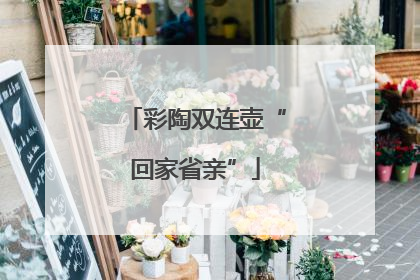 彩陶双连壶“回家省亲”