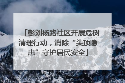 彭刘杨路社区开展危树清理行动，消除“头顶隐患”守护居民安全