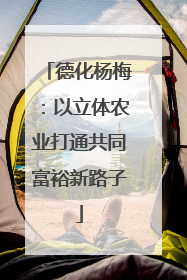 德化杨梅：以立体农业打通共同富裕新路子