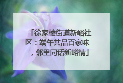 徐家楼街道新峪社区：端午共品百家味，邻里同话新峪情