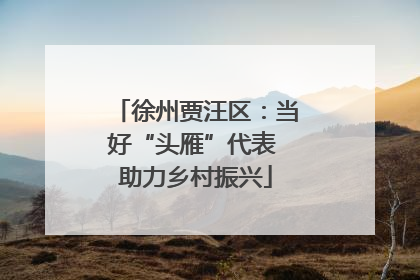 徐州贾汪区：当好“头雁”代表 助力乡村振兴