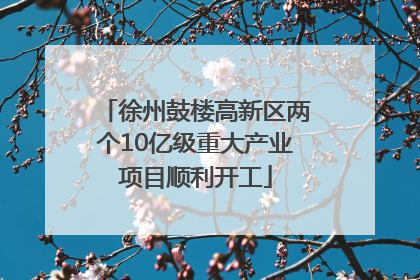 徐州鼓楼高新区两个10亿级重大产业项目顺利开工
