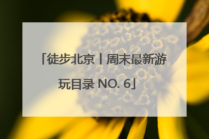 徒步北京丨周末最新游玩目录 NO. 6