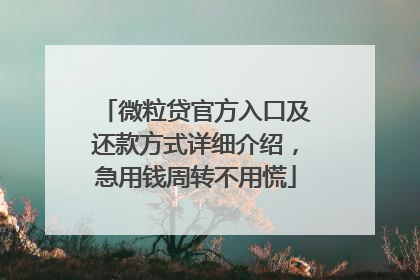 微粒贷官方入口及还款方式详细介绍，急用钱周转不用慌