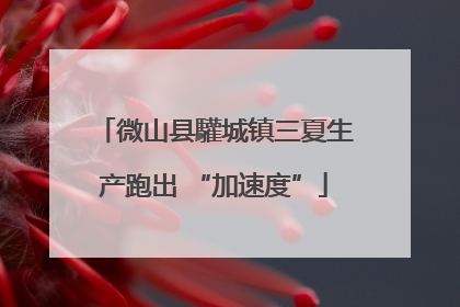 微山县驩城镇三夏生产跑出 “加速度”